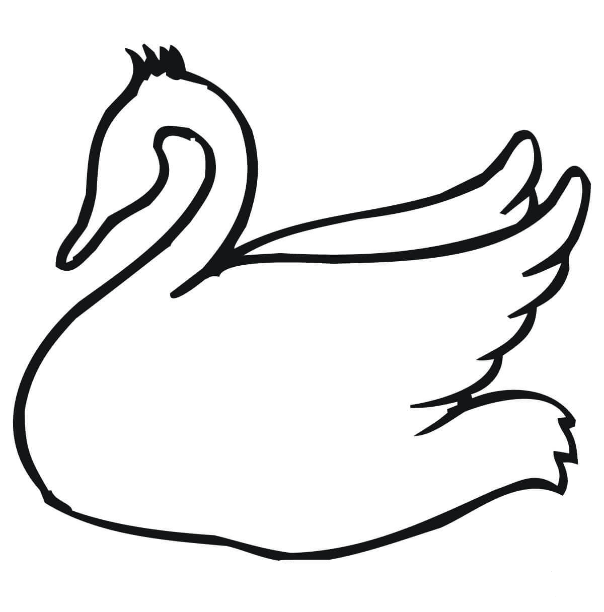 Swan Outline coloring page - ColouringPages