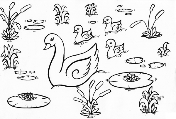 Swan Swimming coloring page image