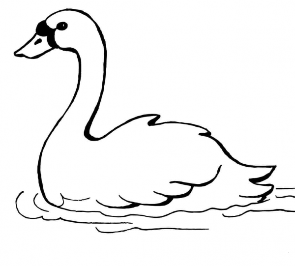 Swan Swimming coloring page image