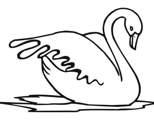 Swan Water Bird coloring page image