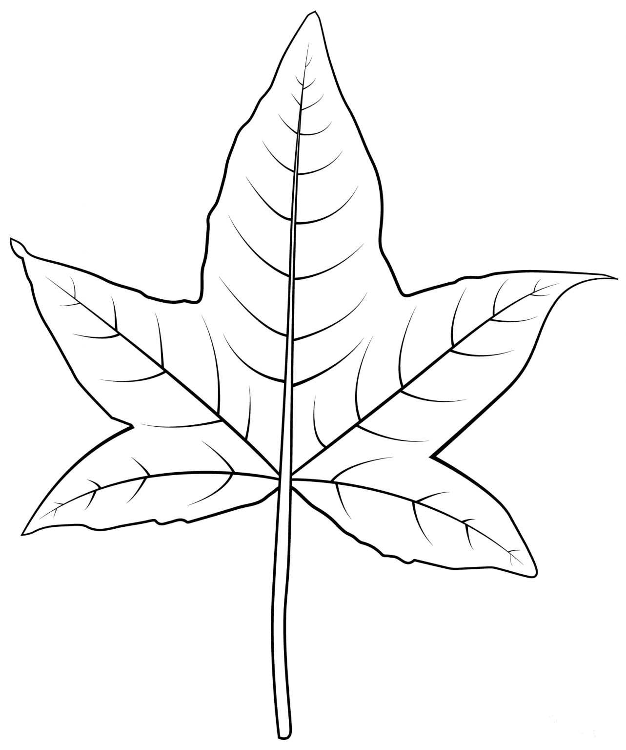 Gum Leaf Colouring Pages