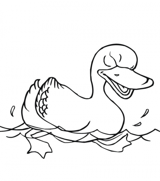 Swimming Duck coloring page image