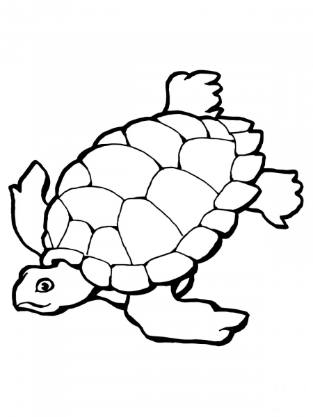 Swimming Sea Turtle coloring page image