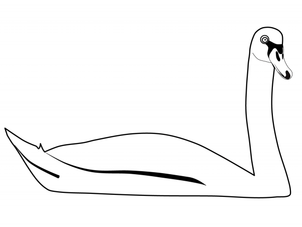 Swimming Swan coloring page image