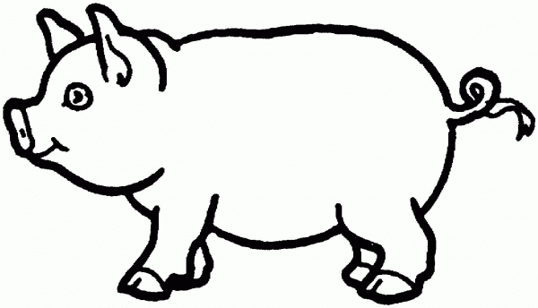 Swine coloring page image