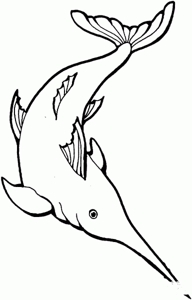 Swordfish 1 coloring page image