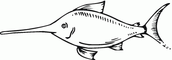 Swordfish 5 coloring page image