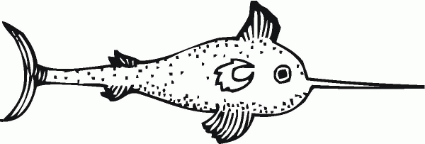 Swordfish 6 coloring page image