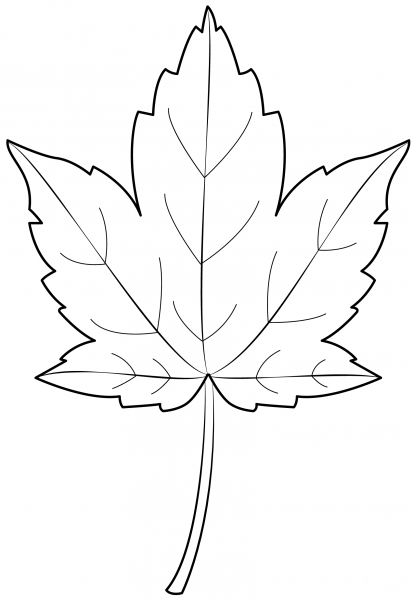 Sycamore Leaf coloring page image