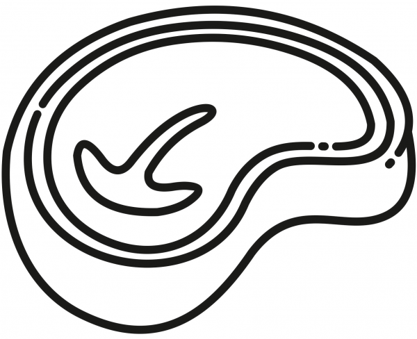 T Bone Steak coloring page image