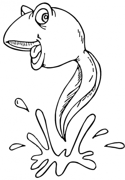 Tadpole in the Water  coloring page image