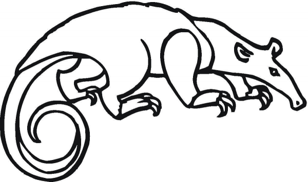 Tamandua coloring page image