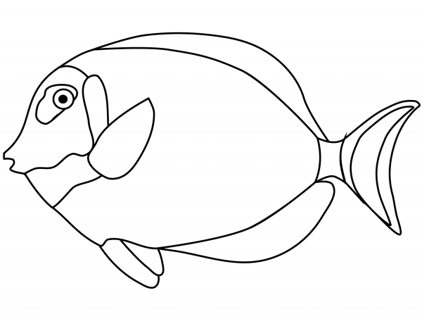 Tang Fish coloring page image