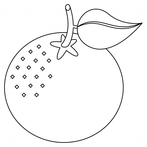 Tangerine coloring page image