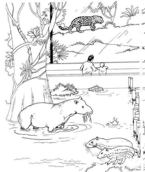 Tapir, Pacas and Jaguar coloring page image