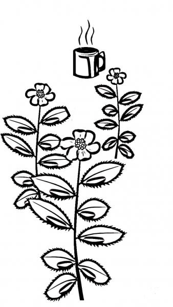 Tea In India  coloring page image