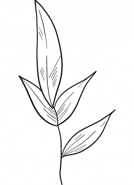 Tea Leaves coloring page image