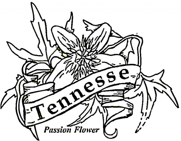 Tennesse  coloring page image