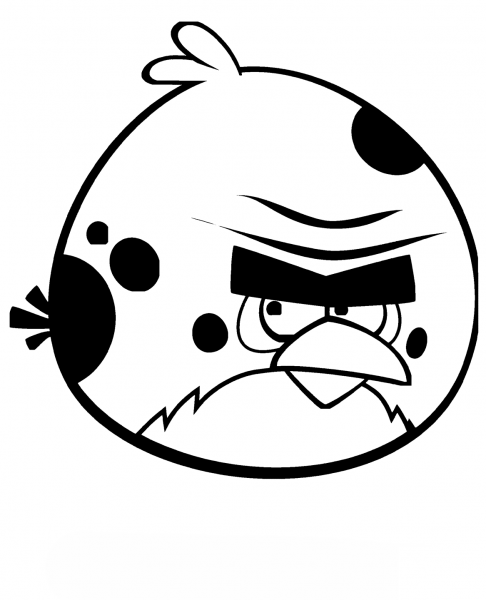 Terence Bird coloring page image