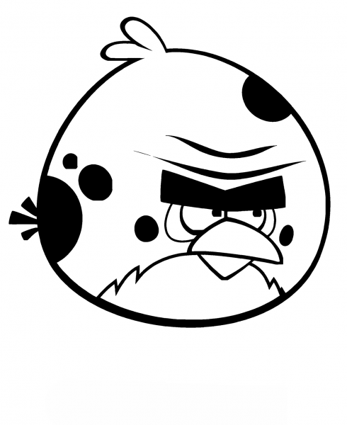 Terence, the Big Brother Bird coloring page image