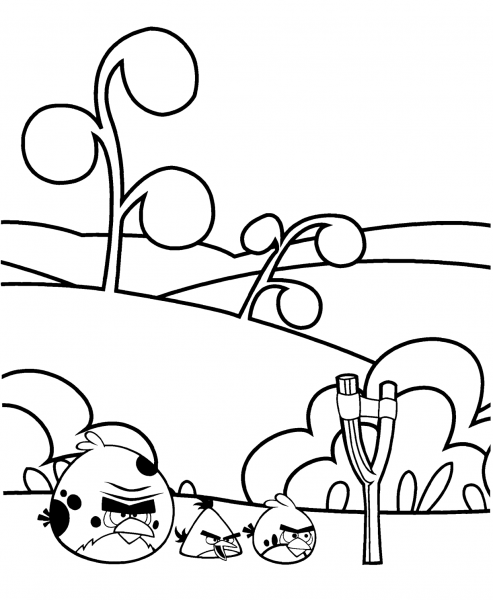 Terence, Yellow and Red Bird coloring page image