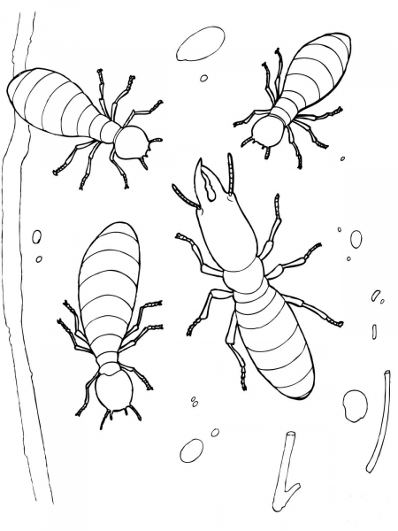 Termites coloring page image