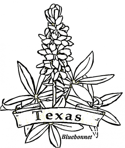 Texas Flowers  coloring page image