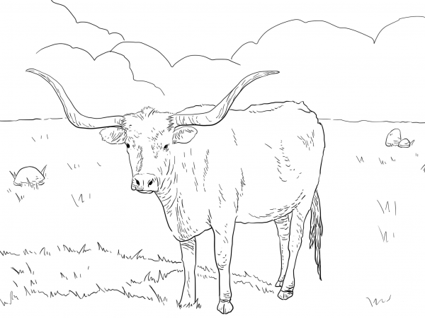Texas Longhorn Cow coloring page image