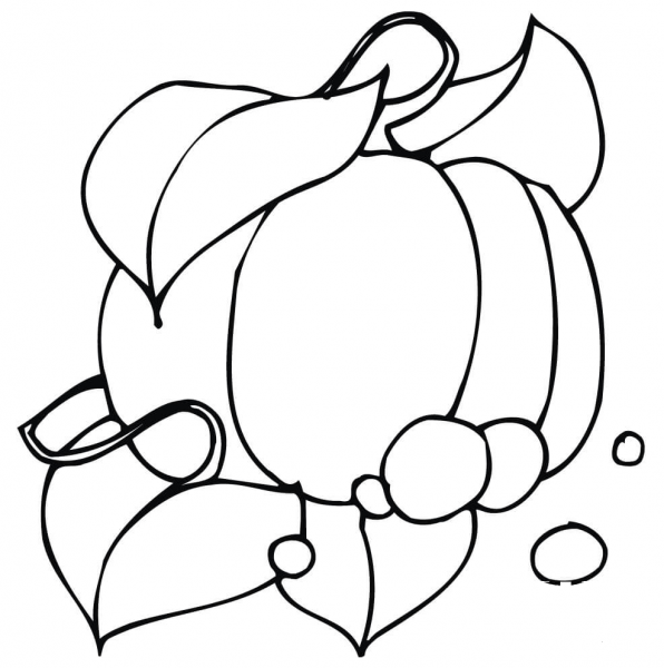 Thanksgiving Pumpkin  coloring page image