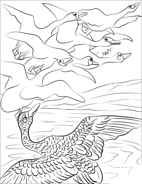 The Duckling Sees Some Migrating Swans coloring page image