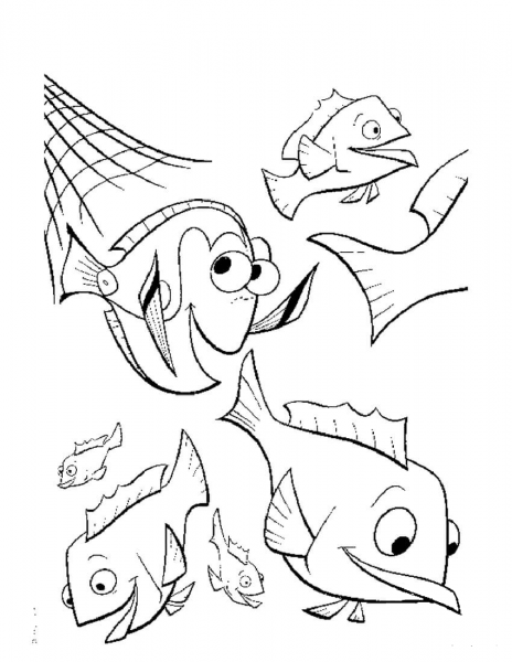 The fishing net coloring page image