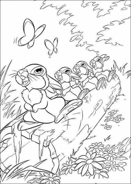 The Rabbit And Butterfly  coloring page image