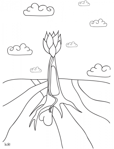 The Root of Love coloring page image