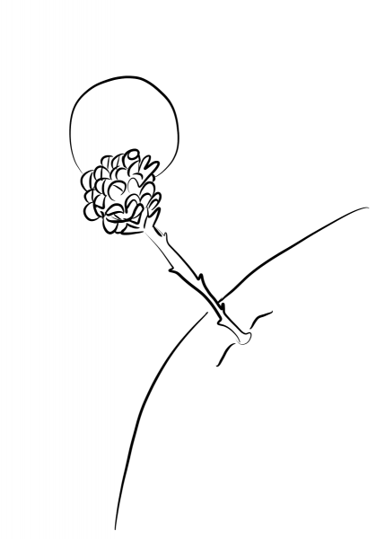 The Secret of the Little Prince’s Life coloring page image