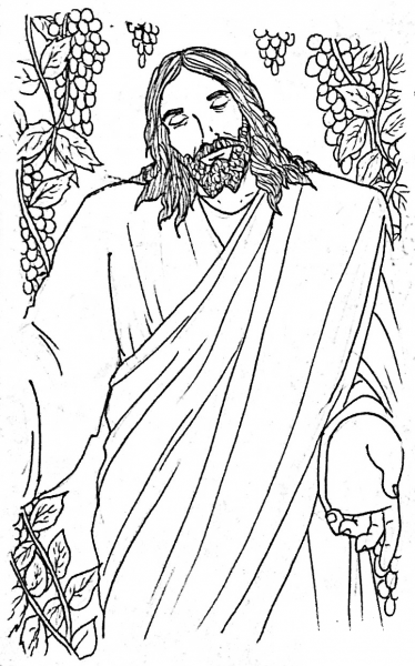 The True Vine – John 15 coloring page image