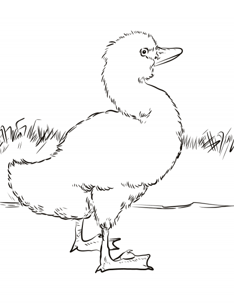The Ugly Duckling coloring page image