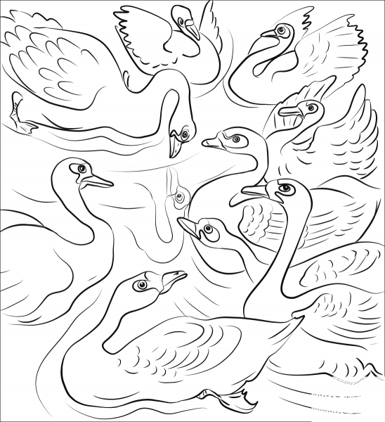 The Ugly Duckling Throw Himself at the Flock of Swans coloring page image