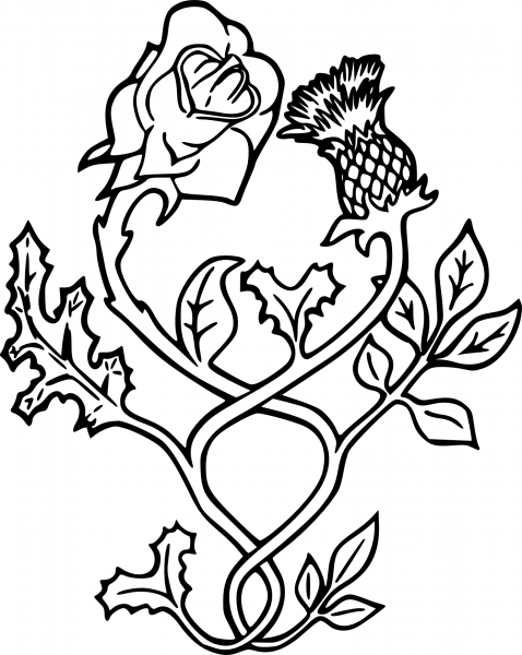 Thistle Flower coloring page image