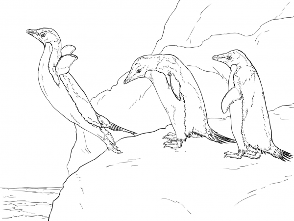 Three Adelie Penguins coloring page image