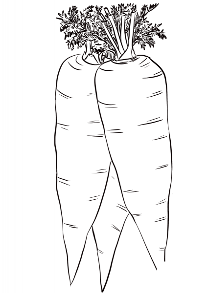 Three Carrots coloring page image