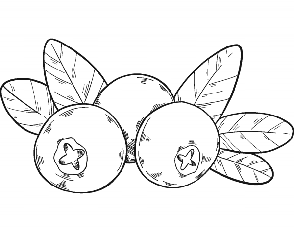 Three Cranberries coloring page image