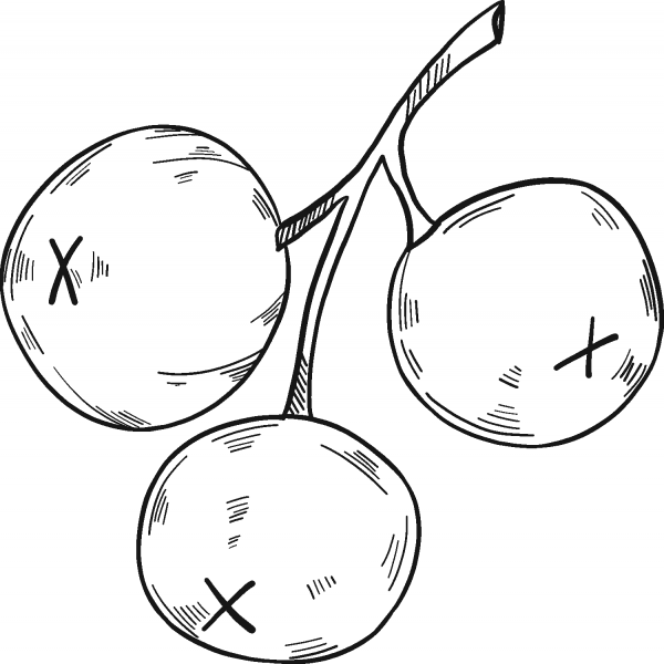 Three Cranberries coloring page image