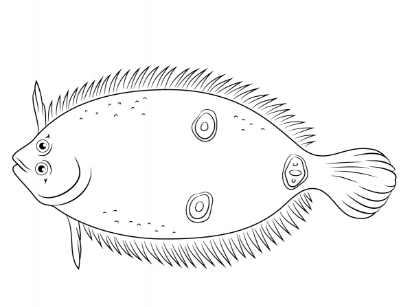 Three Eye Flounder coloring page image