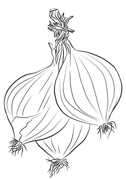Three Onions coloring page image