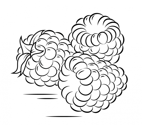 Three Raspberries coloring page image
