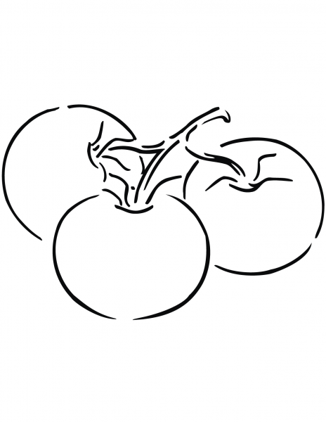 Three Tomatoes coloring page image