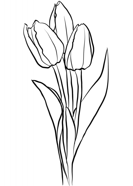 Three Tulips coloring page image