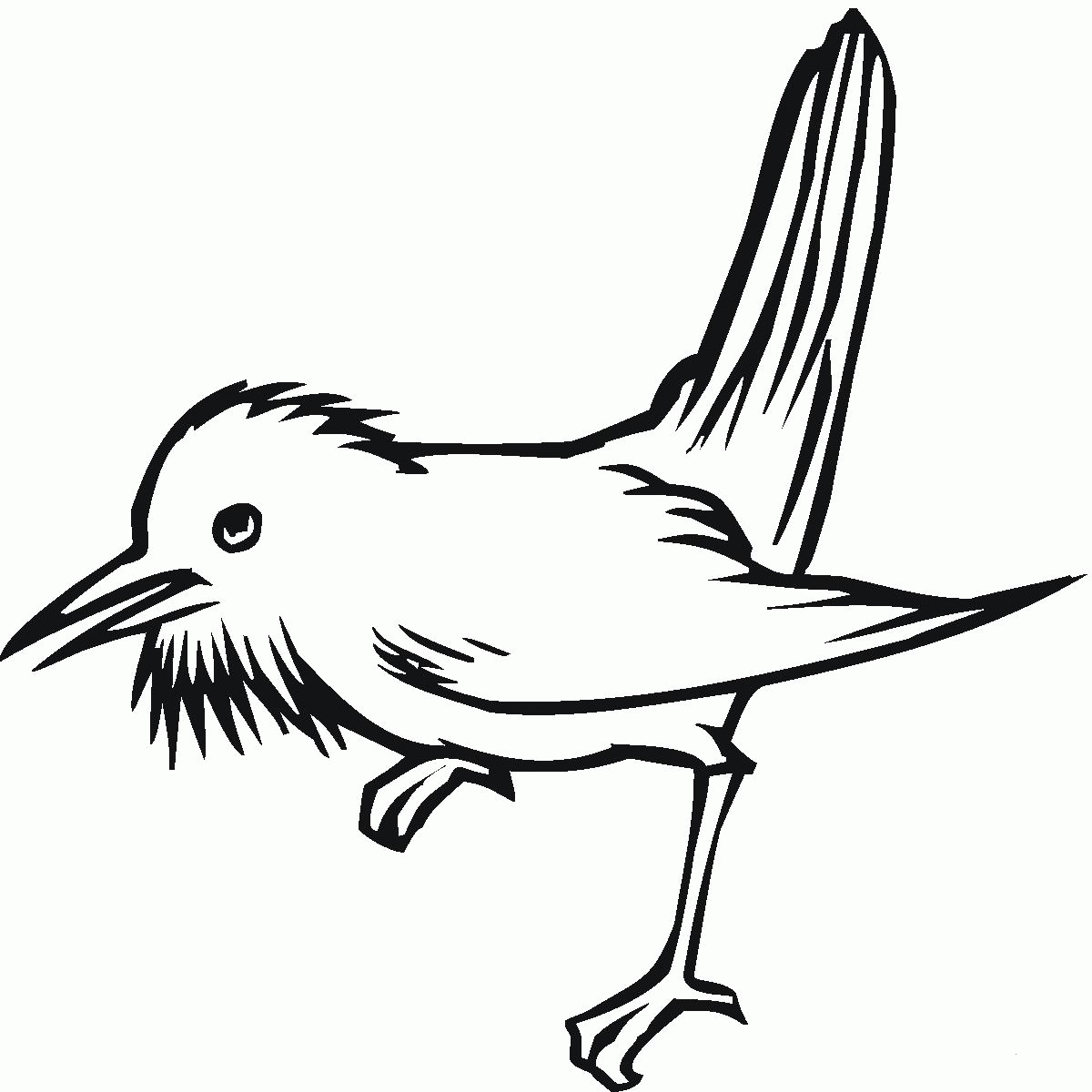 Thrush bird coloring page - ColouringPages