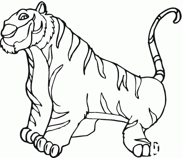 Tiger coloring page image