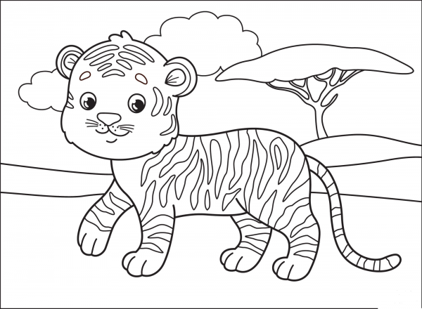 Tiger coloring page image